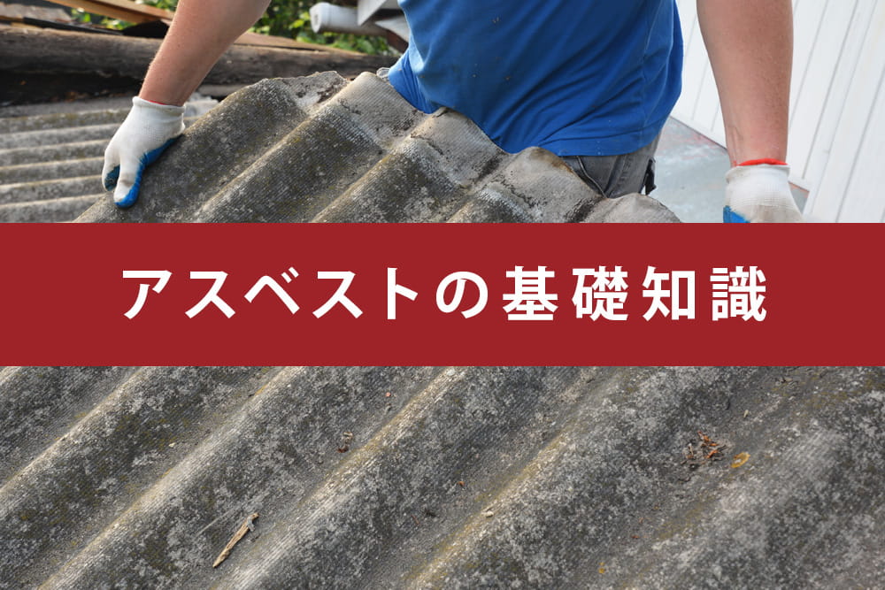 基礎知識